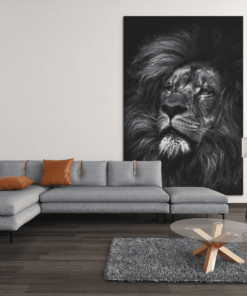 ALIVA 1155 wilde dieren leeuw grijs canvas schilderij d