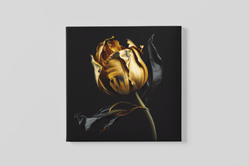 OEFE 1022 canvas schilderij bloemen tulp goud a