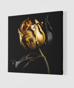 Alternative view of Canvas Schilderij Bloemen tulp