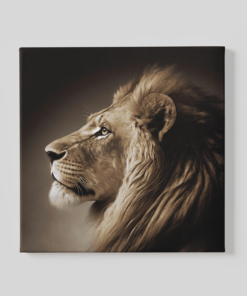 Dieren Leeuw Canvas Schilderij