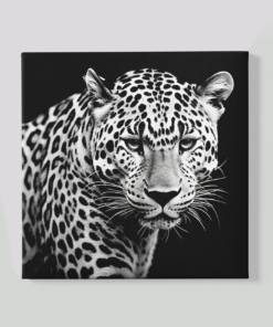 Luipaard Grijs Canvas Schilderij