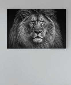 Leeuw Portret Grijs Canvas Schilderij