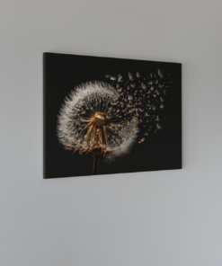Alternative view of Paardenbloem Canvas Schilderij