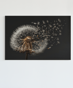 Paardenbloem Canvas Schilderij
