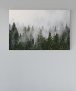 Landschap Mistig Bos Canvas Schilderij