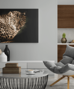 ALIVA 1169 luipaard dieren canvas schilderij horizontaa c min