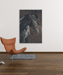 ALIVA 1170 paard portret canvas schilderij c