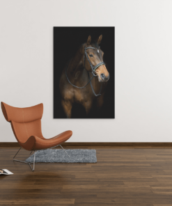 ALIVA 1181 paard bruin dieren canvas schilderij rechthok c min