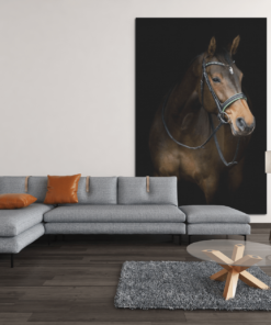ALIVA 1181 paard bruin dieren canvas schilderij rechthok d min