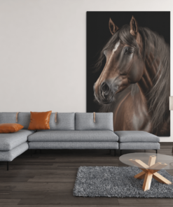 ALIVA 1182 bruine paard canvas schilderij dieren rechthoek d min