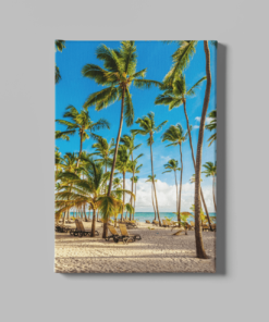 Palmbomen Strand Canvas Schilderij