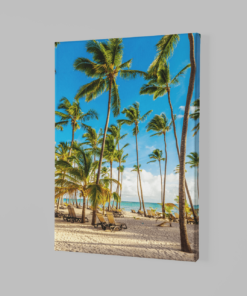 Alternative view of Palmbomen Strand Canvas Schilderij