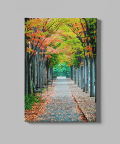 Landschap Herfst Canvas Schilderij
