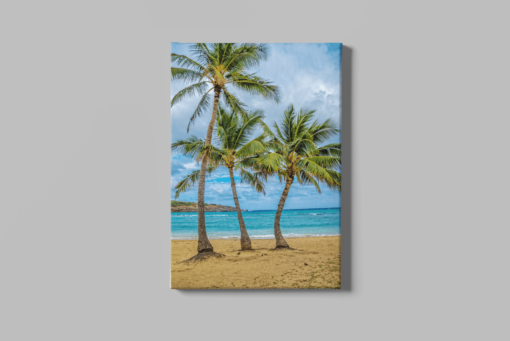 Palmbomen Canvas Schilderij