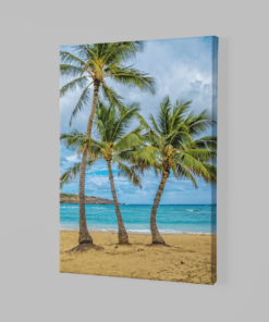 Alternative view of Palmbomen Canvas Schilderij