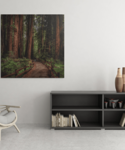 OEFE 1098 wandelpad in het bos canvas schilderij vierkant d