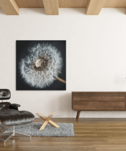 OEFE 1119 paardenbloem canvas schilderij b