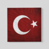 OEFE 1168 turkse vlag canvas schilderij