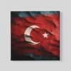 OEFE 1170 turkse vlag canvas schilderij