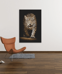 ALIVA 1227 canvas schilderij luipaard wilde dieren b