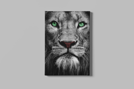 ALIVA 1228 cancas schilderij wilde dieren leeuw