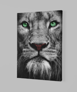 ALIVA 1228 cancas schilderij wilde dieren leeuw a