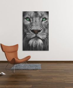 ALIVA 1228 cancas schilderij wilde dieren leeuw b