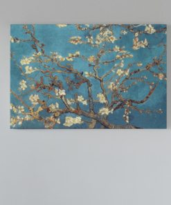 Vincent Van Gogh Amandelbloesem Canvas Schilderij