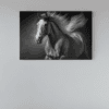 ALIVA 1183 grijze paard canvas schilderij horizontaal a