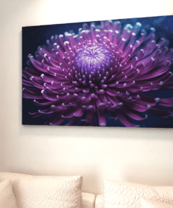 ALIVA 1198 chrysant bloem canvas schilderij b