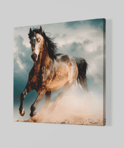 OEFE 1194 paard bruin canvas schilderij a min