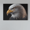ALIVA 1330 canvas schilderij adelaar