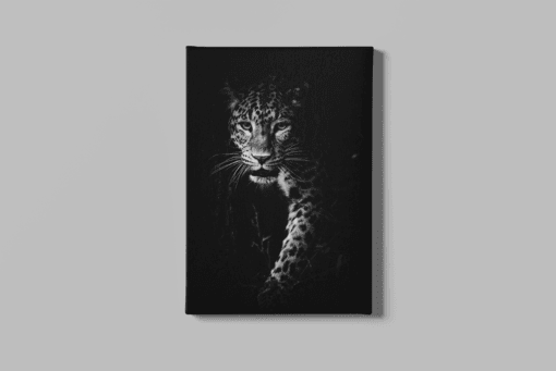 Luipaard Wilde Dier Canvas Schilderij