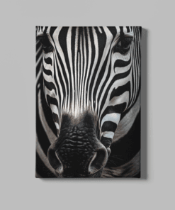 Dieren Zebra Canvas Schilderij