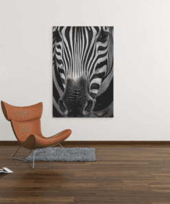 ALIVA 1340 dieren zebra canvas schilderij a