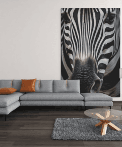 ALIVA 1340 dieren zebra canvas schilderij d