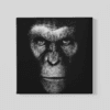 OEFE 1132 gorilla canvas schilderij