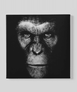 Gorilla Canvas Schilderij