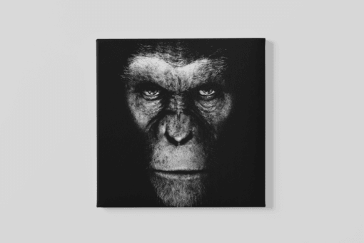 Gorilla Canvas Schilderij