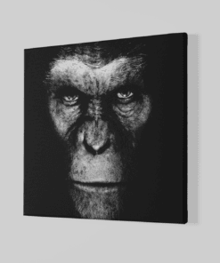 Alternative view of Gorilla Canvas Schilderij
