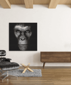 OEFE 1132 gorilla canvas schilderij b