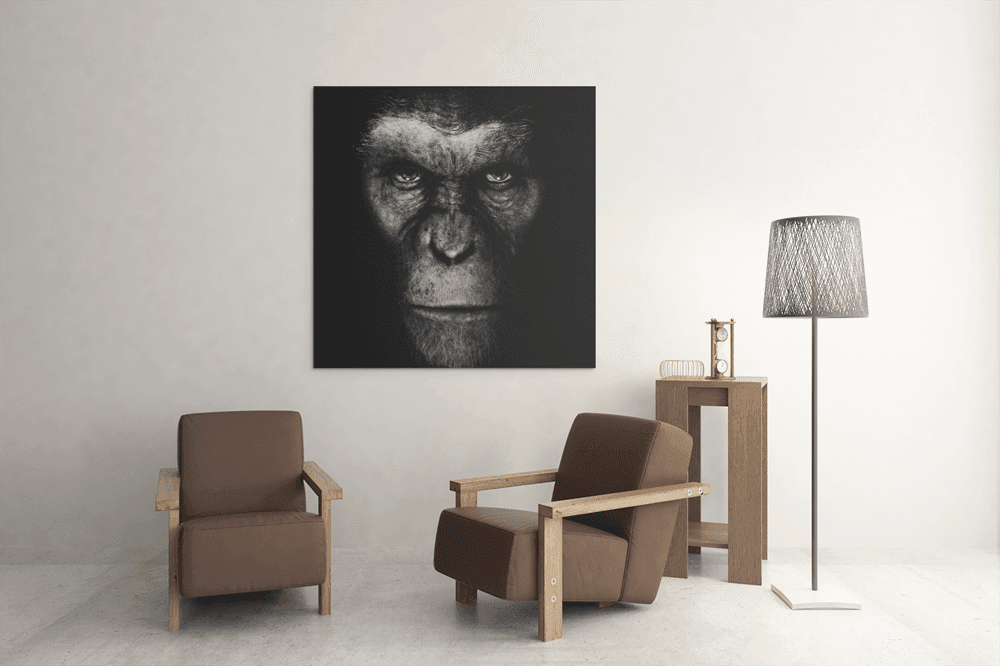 OEFE 1132 gorilla canvas schilderij c