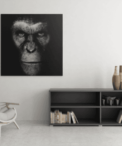 OEFE 1132 gorilla canvas schilderij s