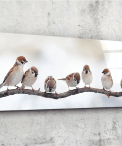 Vogels Mussen Glasschilderij