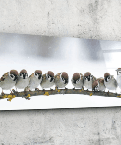 Mussen Vogels Glasschilderij
