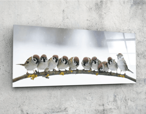Mussen Vogels Glasschilderij