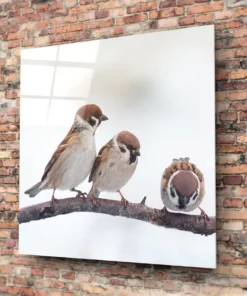 Vogels Glasschilderij - Afbeelding 3
