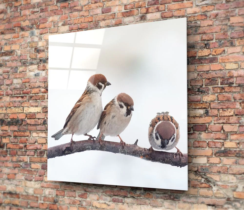 Vogels Glasschilderij - Afbeelding 3