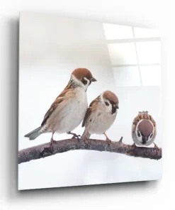 Vogels Glasschilderij
