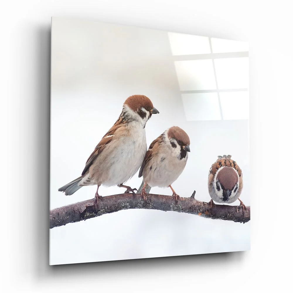 Vogels Glasschilderij